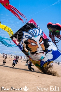 Japan Kanazawa Kite Festival