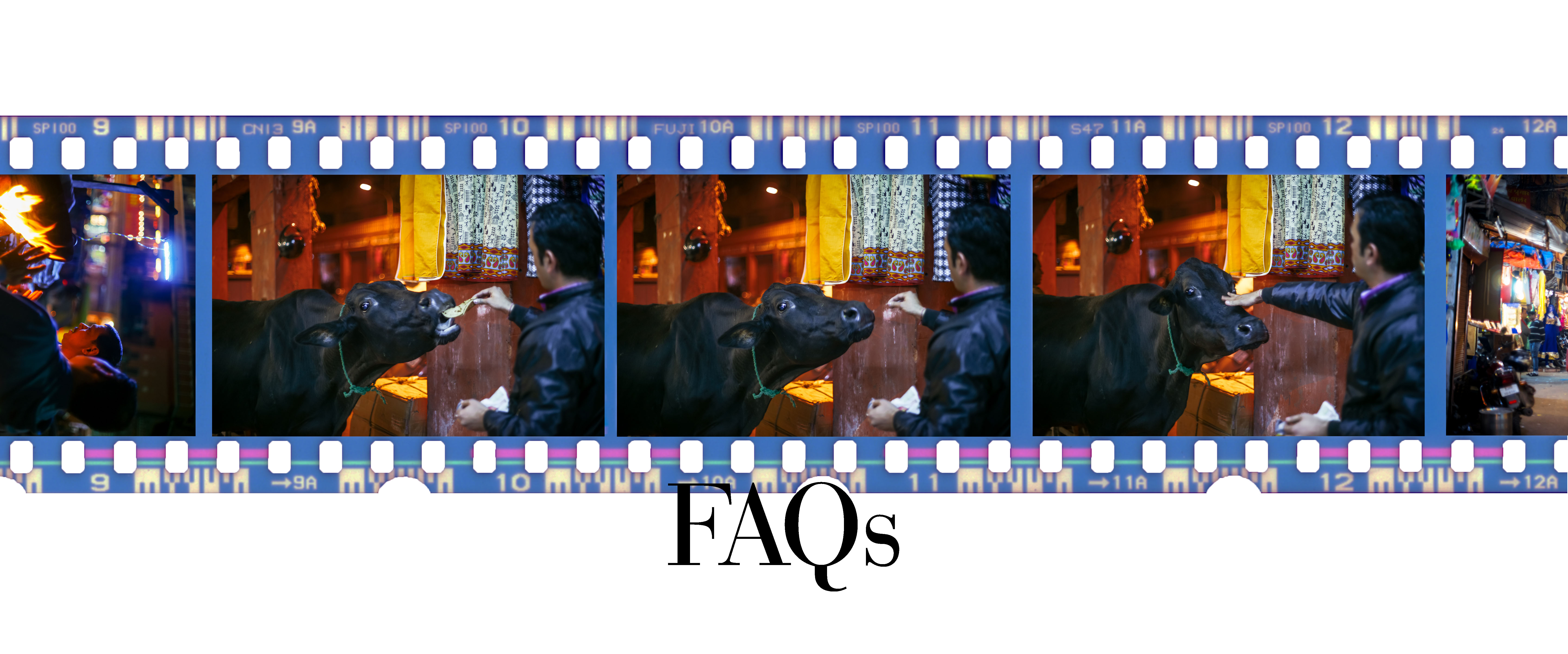 Title FAQs India Dehli Film Strip Holy Cow