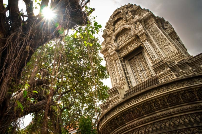 Jungle Temple; Phnom Penh, Cambodia Paw Print Photos - Gregor McGregor - Portfolio Historical Sites