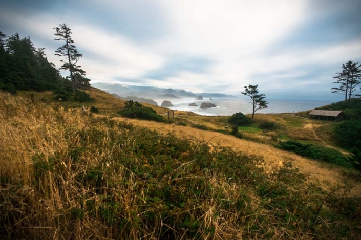 Paw Print Photos - Gregor McGregor - Portfolio Landscapes
