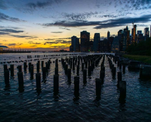 Paw Print Photos - Gregor McGregor - Portfolio Citcyscape