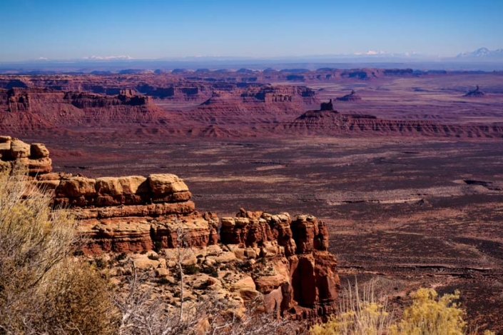 Paw Print Photos - Gregor McGregor - Portfolio Landscapes