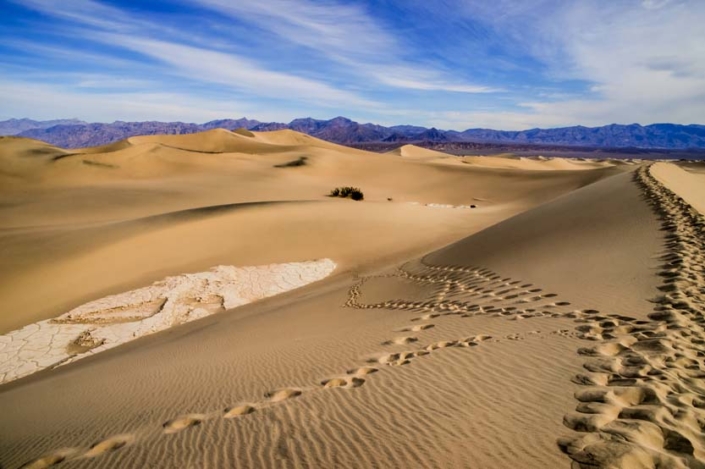 Paw Print Photos - Gregor McGregor - Portfolio Landscapes