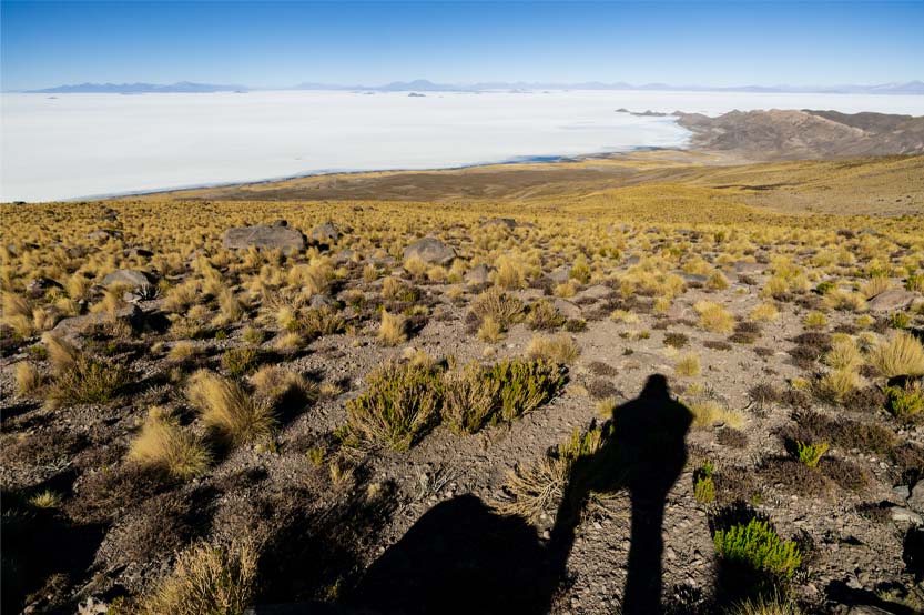 Paw Print Photos - Gregor McGregor - About Us
