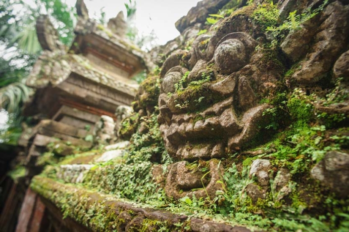 Monkey Forest; Ubud, Indonesia Paw Print Photos - Gregor McGregor - Portfolio Historical Sites