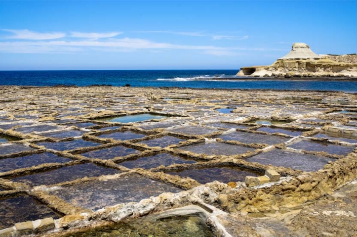 Paw Print Photos - Gregor McGregor - Portfolio Landscapes